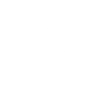 dacia1